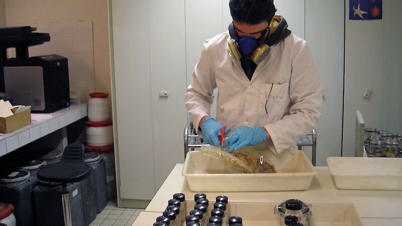 At the MNHN Zootheque, an assistant re-sorts samples from drums into bottles, for further identifications and computerisation.