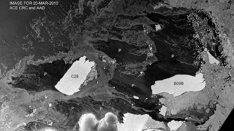 Satellite image showing icebergs in the Adelie Depression, west of the Mertz Glacier