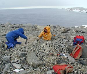 Researchers uncovering ancient penguin remains at Inexpressible Island, Antarctica.