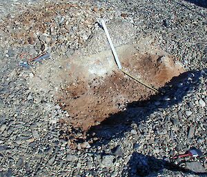 A trench dug at the site of a long-abandoned penguin colony, in search of sub-fossil bones for DNA work.