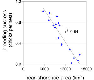 Breeding success plotted against ice area during the guard period. Breeding success varies between 0, representing total reproductive failure, and 2, representing an average of two chicks crèching per nest