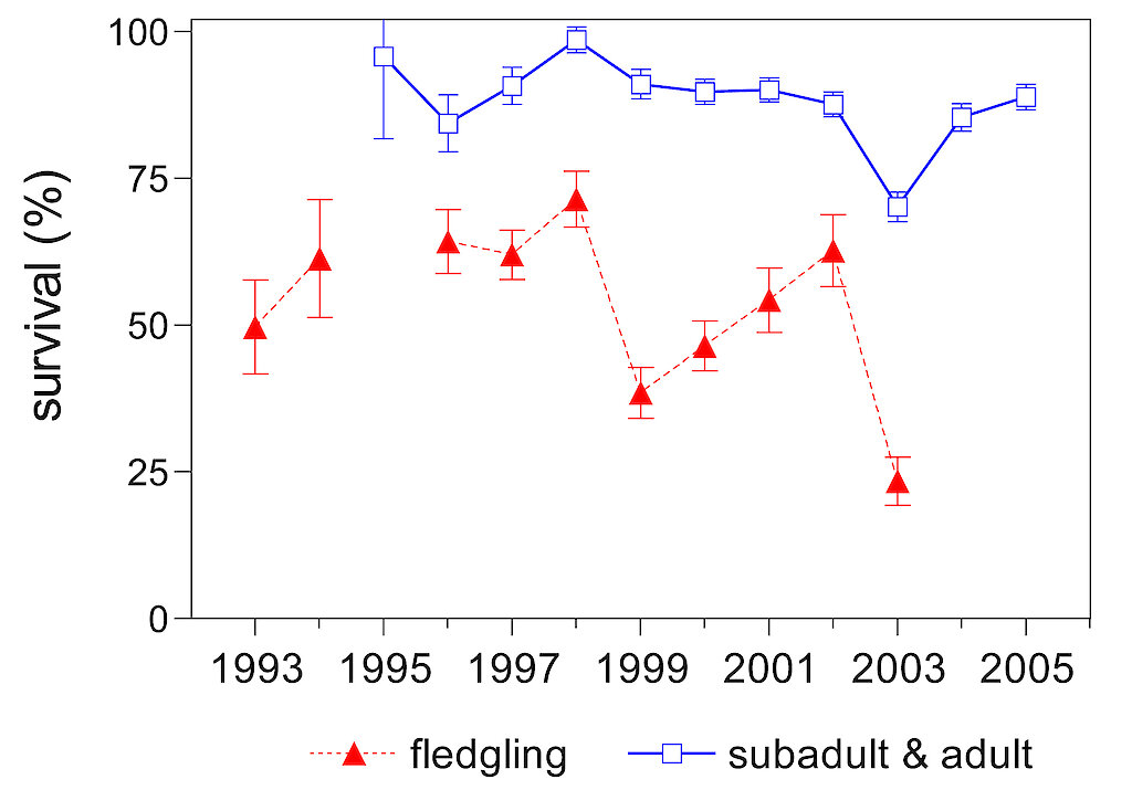 Adelie penguin population dynamics: 18 years in a colony — Australian