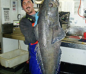 A scientific observer holding a Patagonian toothfish