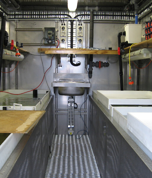 Four seawater tanks are visible inside the aquarium with small heaters on the shelves above.