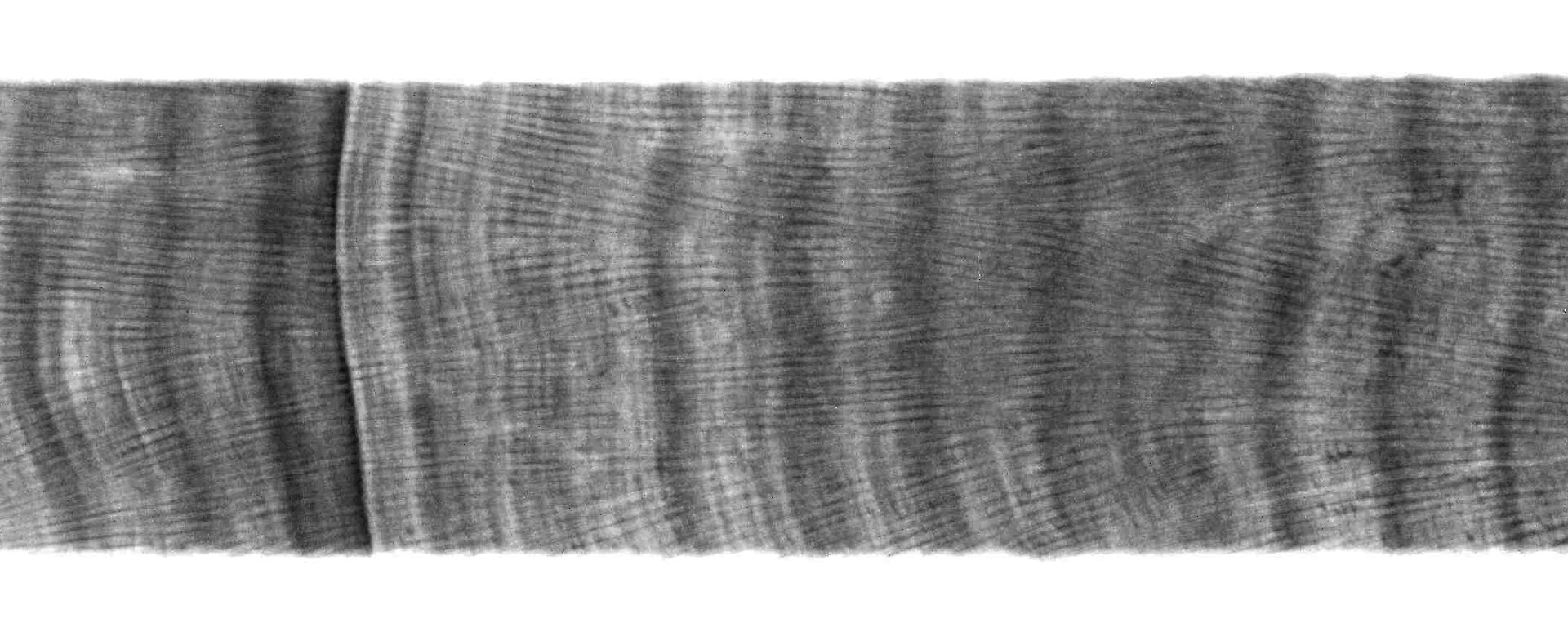 A positive print of an X-ray of a coral slice showing the annual density banding pattern.