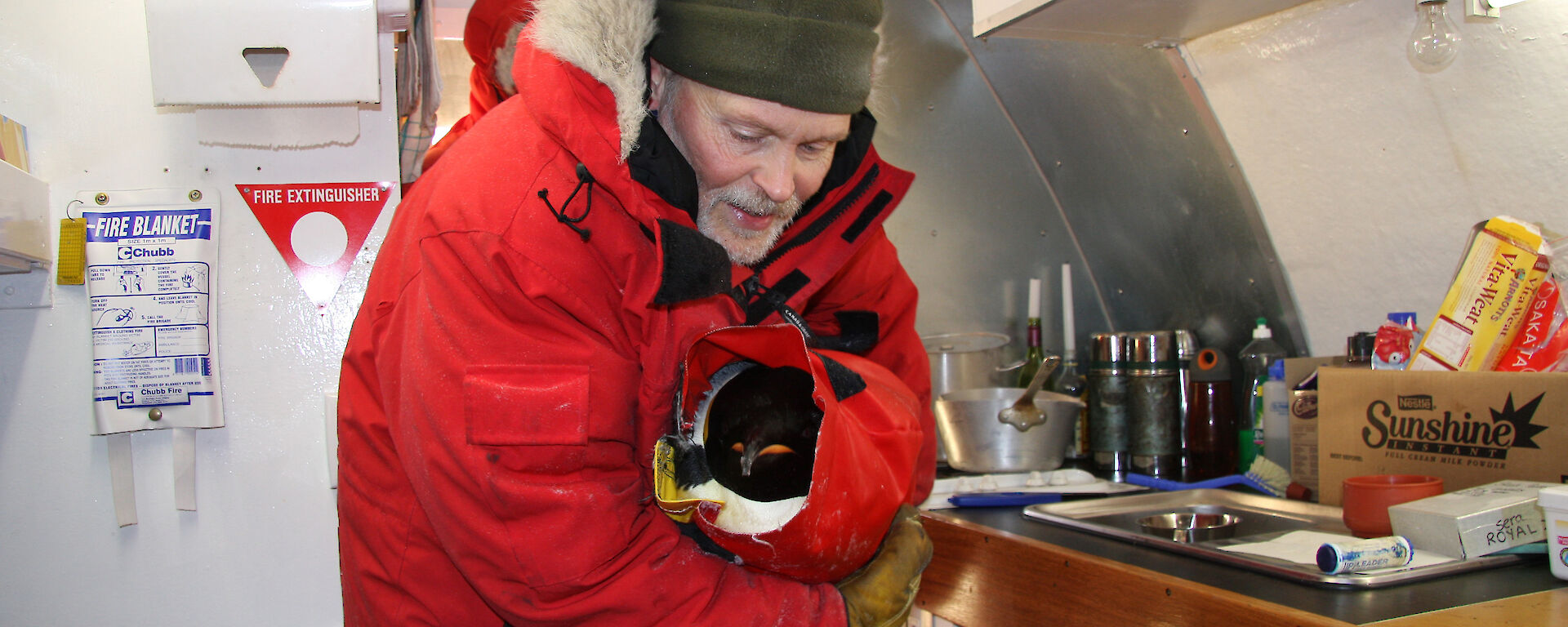 An emperor penguin is wrapped in a jacket so that samples can be taken from its mouth and cloaca.