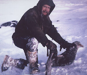Expeditioner banding a giant petrel as part of the biology program; October 1968.