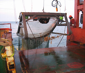 A trawl-mounted camera provided tantalising video footage of the sea-bed.