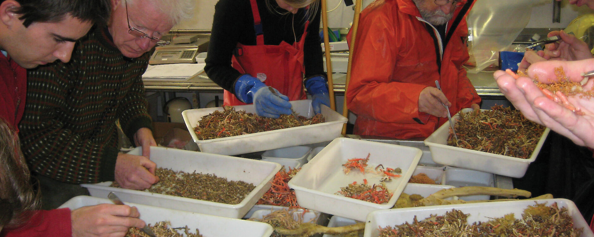 Marine scientists sort the catch from a trawl.