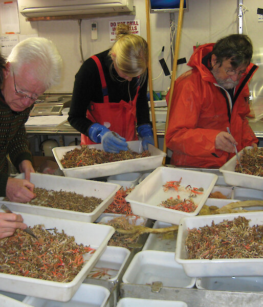 Marine scientists sort the catch from a trawl.