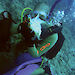 Diver collecting a cuttlefish