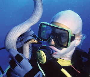 Dr Bryan Fry with an olive sea snake (Aipysurus laevis)