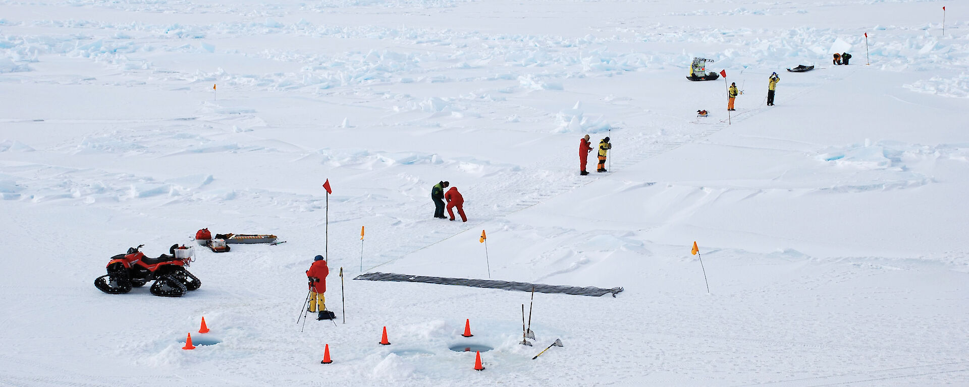 A 200m transect marked out on the sea ice at Ice Station 6.