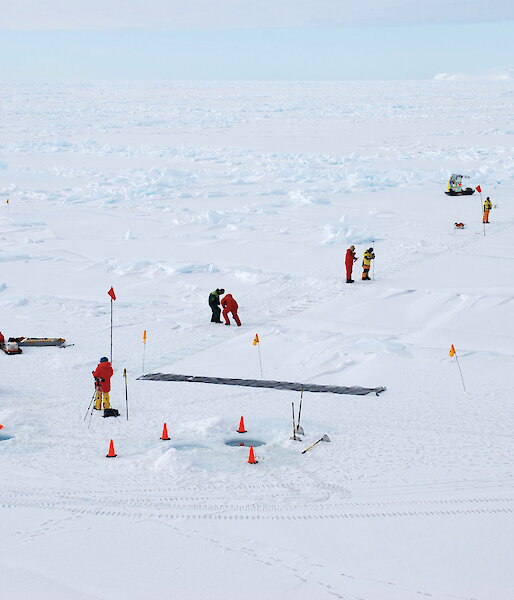 A 200m transect marked out on the sea ice at Ice Station 6.