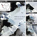 Modis satellite image of Wilkins Ice Shelf break up