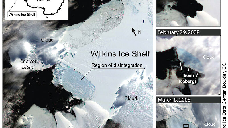 Modis satellite image of Wilkins Ice Shelf break up