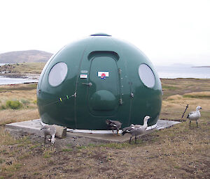 Max Planck Institute for Ornithology Igloo