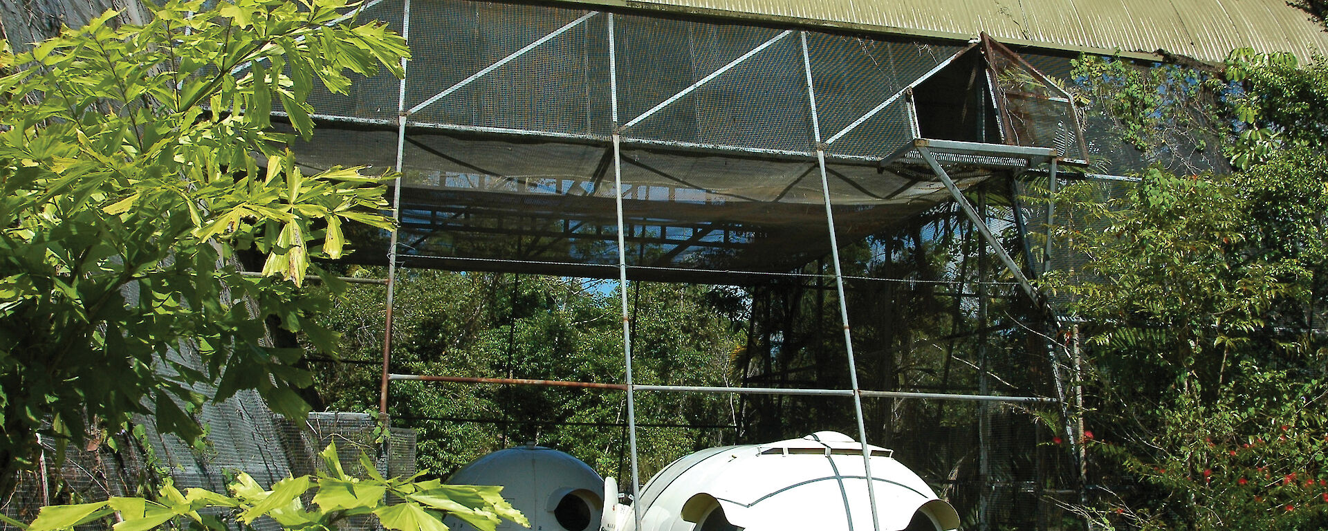 Extended ‘tropicalised’ Igloos with tinted windows, window shade hoods and extended roof sections at a north Queensland resort