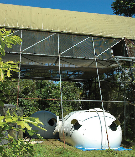 Extended ‘tropicalised’ Igloos with tinted windows, window shade hoods and extended roof sections at a north Queensland resort