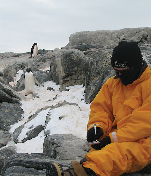 Expeditioner with Adelie penguins