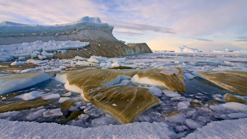 Overturned ice floes with green sea ice algae on their undersides.