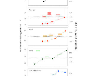 Graphic showing the change in Adélie penguin breeding population size at five regional populations over the last 35–54 years.