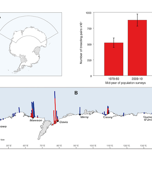 Graphic showing the location of breeding colonies counted during a recent study, compared with a study conducted 30 years ago.