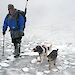 Dog handler Gary Bowcock walks through light snow on Macquarie Island with hunting dogs Joker and Tama.