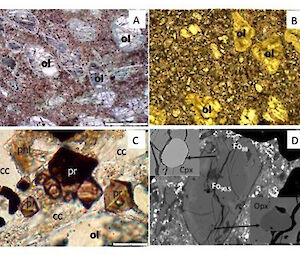 Optical and electron microscopy of specific mineralogy of the Antarctic kimberlites