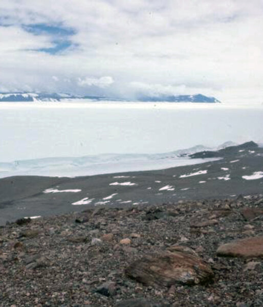 The site from which the Antarctic kimberlite samples were recovered, on the flanks of Mt Meredith, looking across the Lambert Glacier