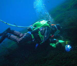 A diver collects information in a large seaweed bed under the sea ice