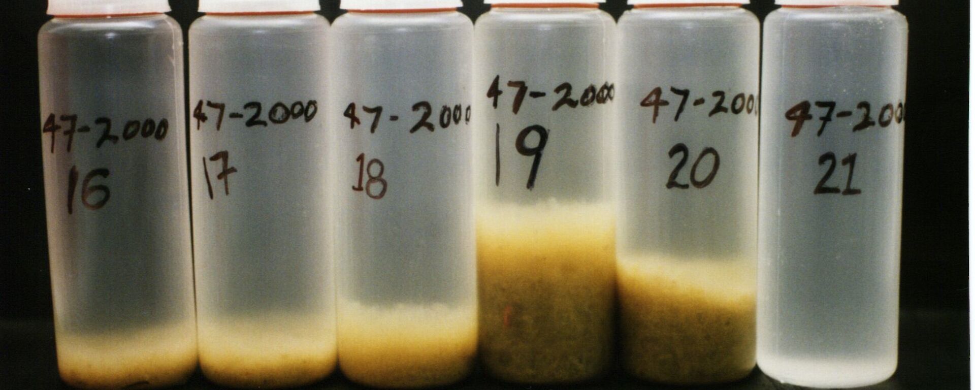 Jars containing sediment collected in the subantarctic zone at 47 degrees south