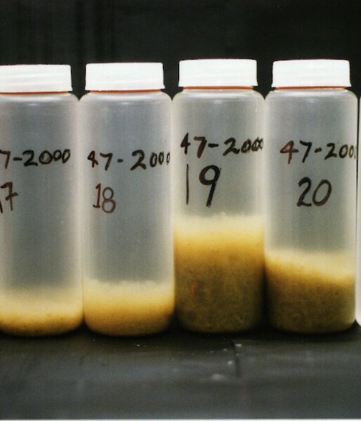 Jars containing sediment collected in the subantarctic zone at 47 degrees south