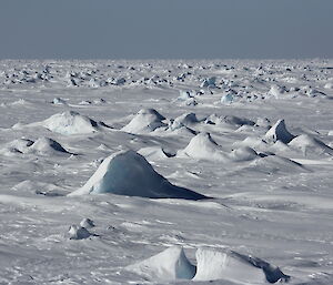 Thick, ridged sea ice encountered during voyage one