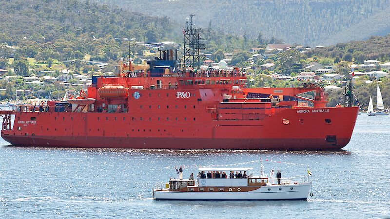A re-enactment of the departure of the Aurora in 1911, as the modern-day icebreaker Aurora Australis heads for Antarctica on 2 December 2011, escorted down the Derwent River by a flotilla of yachts, ships and boats. Here the Governor General, onboard launch Egeria, takes the salute from Aurora Australis.