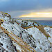 Labrador dog Flax sits on a snow-covered slope on Macquarie Island