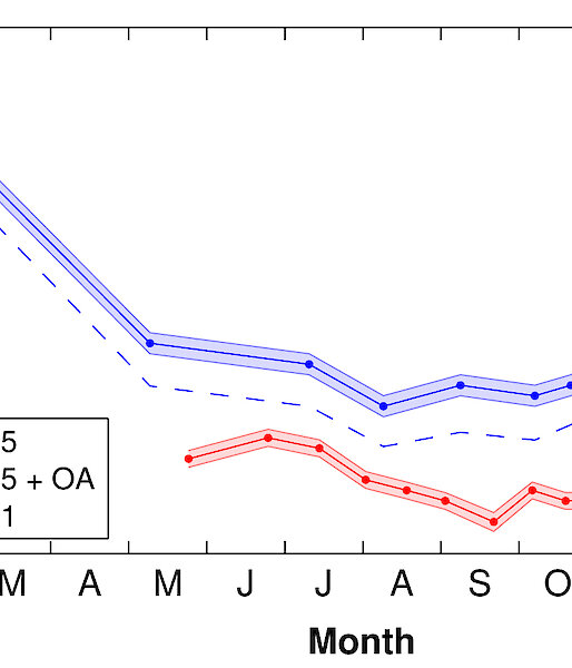This graphic shows changes in the pH of seawater in samples collected in 1993–95 (blue line) and 2010–11 (red line). The dashed line shows the predicted response of pH assuming that ocean acidification was the only process controlling carbonate chemistry in Prydz Bay.