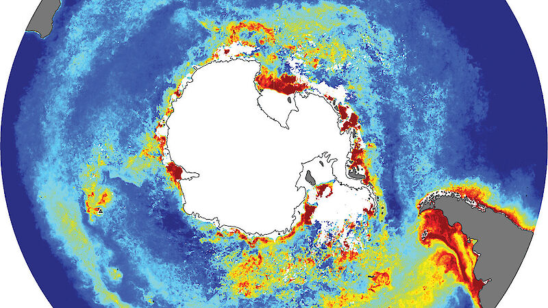 A map of Antarctica showing corrected concentrations of phytoplankton chlorophyll observed by satellites in the Southern Ocean averaged over summer from 2002 to 2012. Red and yellow indicates regions of high chlorophyll and blue indicates regions of low chlorophyll.