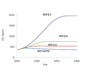 Trajectories of CO2 concentration under the Representative Concentration Pathway (RCP) scenarios of the Intergovernmental Panel on Climate Change.