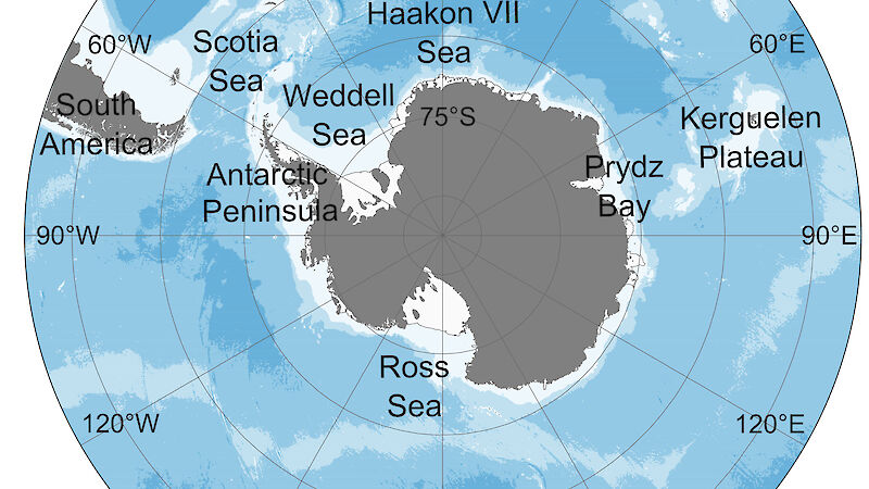A map of Antarctica showing important krill habitat in the Weddell Sea and the Haakon VII Sea are likely to become high-risk areas for krill recruitment by 2100.