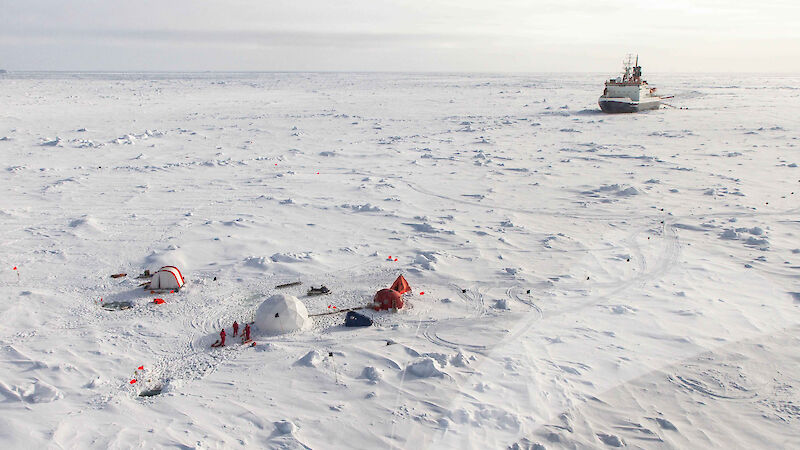 Aerial view of large tents set up on the sea ice for a diver team and remotely operated vehicle team.