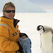 An emperor penguin chick scolds Barbara after being weighed.
