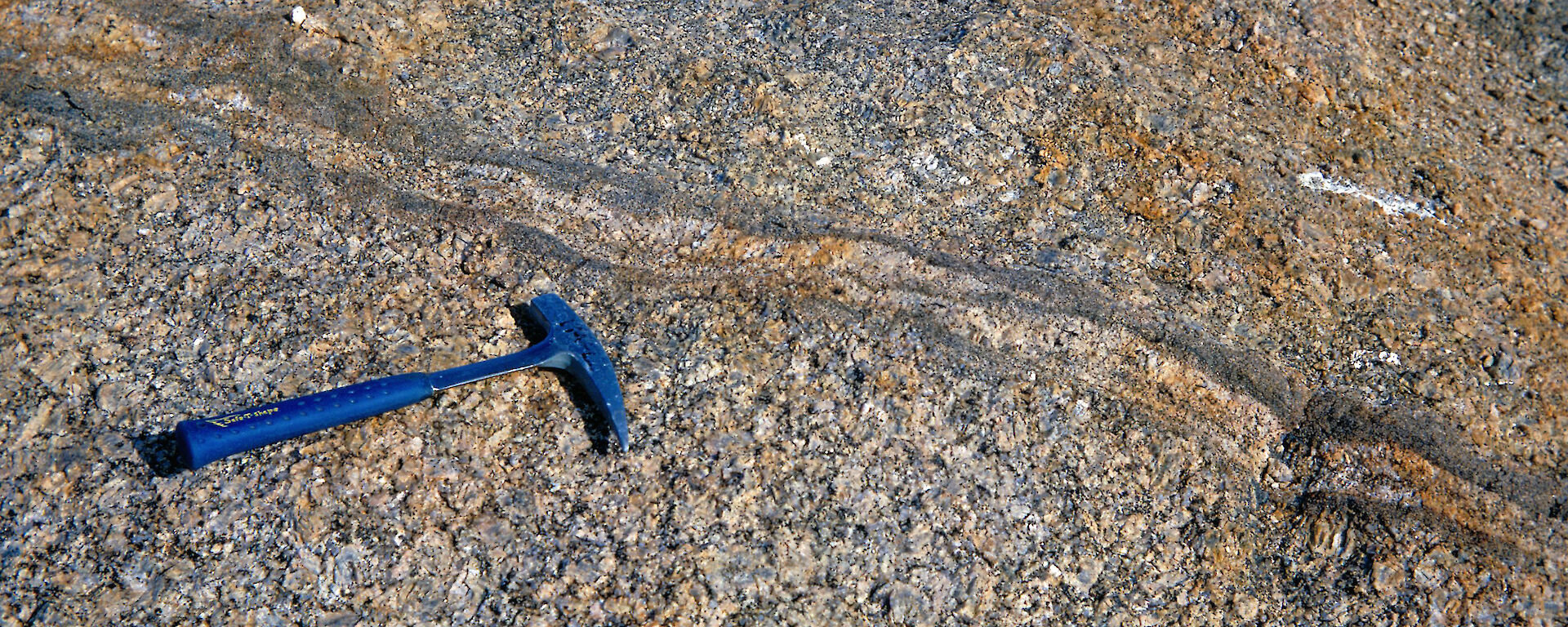 Detail of a Cambrian-aged granite in Antarctica. The Cambrian period lasted from about 542 to 488 million years ago.