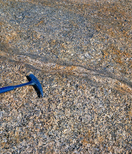 Detail of a Cambrian-aged granite in Antarctica. The Cambrian period lasted from about 542 to 488 million years ago.