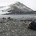 A bird watcher takes photographs of birds on the shore of Heard Island.