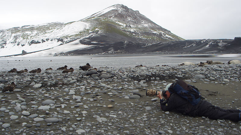 A bird watcher takes photographs of birds on the shore of Heard Island.
