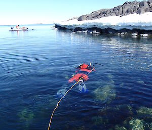 A diver collects samples during the Davis environmental impact assessment.