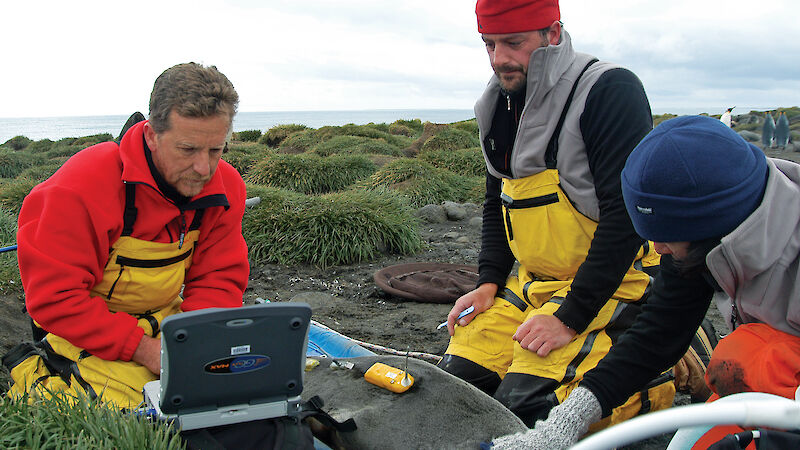 Nick monitoring a fur seal on Heard Island.
