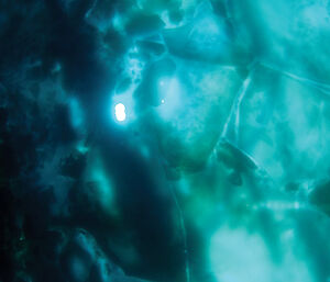 The ROV’s view under the ice as light streams through the ROV hole at the surface.