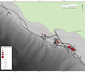 Map showing the number of blue whales sighted (red circles) and the ship’s track (black line) during the January voyage off the coast of Victoria. Contour lines show different depths.